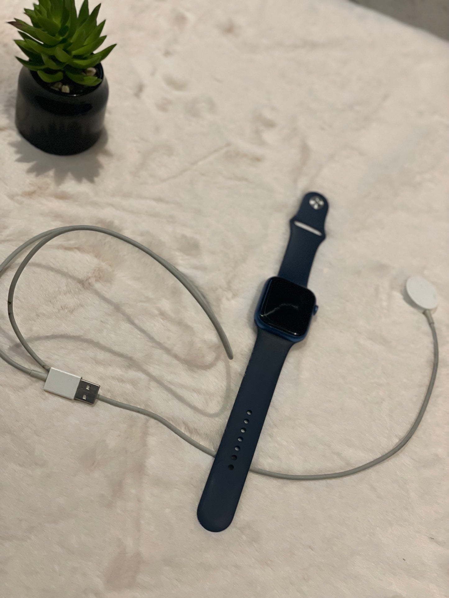 Apple Watch Series 7